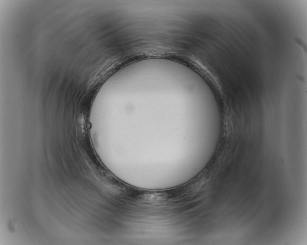 X0000103170117200808221137