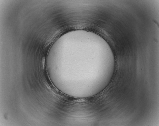 X0000103170118200808221137