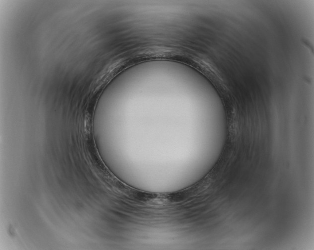 X0000103170119200808221137