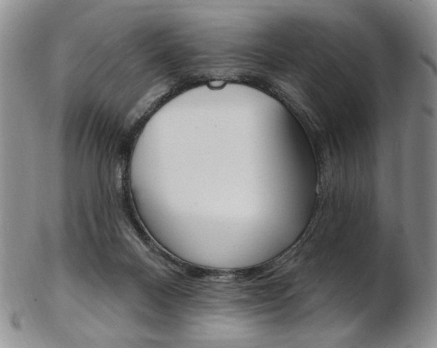 X0000103170120200808221137