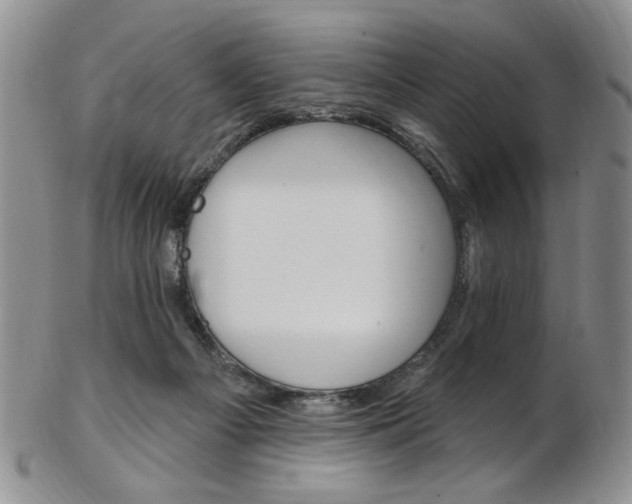X0000103170121200808221137