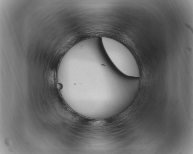 X0000103170122200808221137