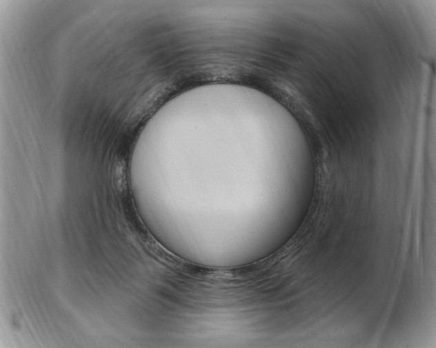 X0000103170123200808221137