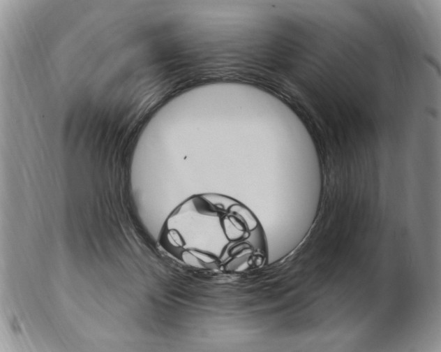 X0000103170124200808221137