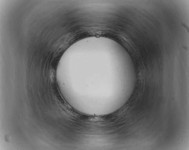 X0000103170125200808221137
