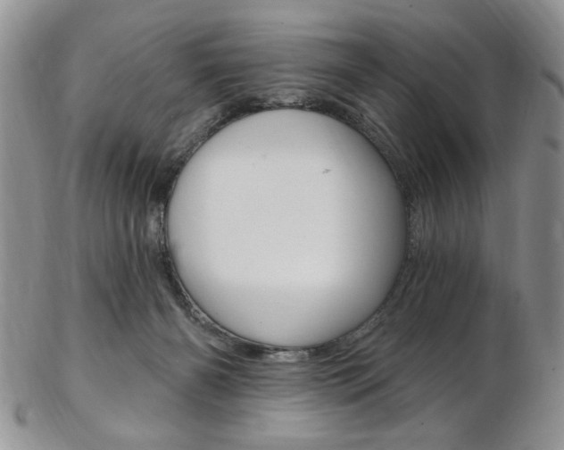 X0000103170126200808221137