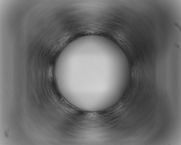 X0000103170127200808221137