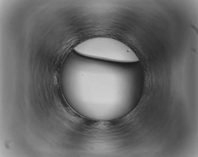 X0000103170128200808221137