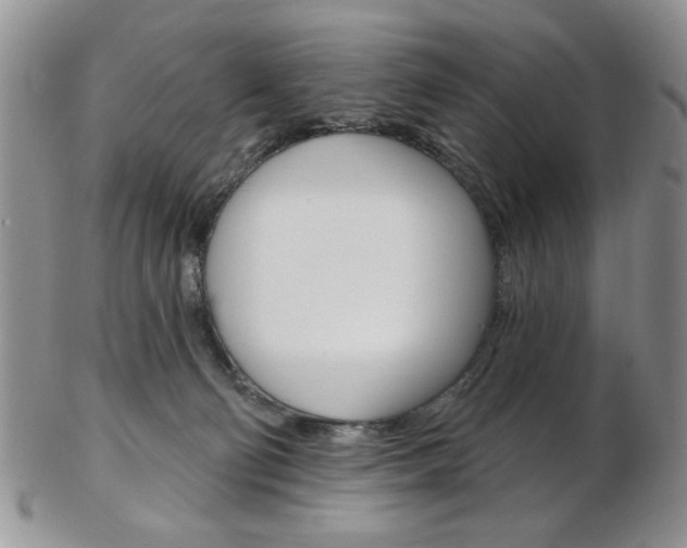 X0000103170130200808221137