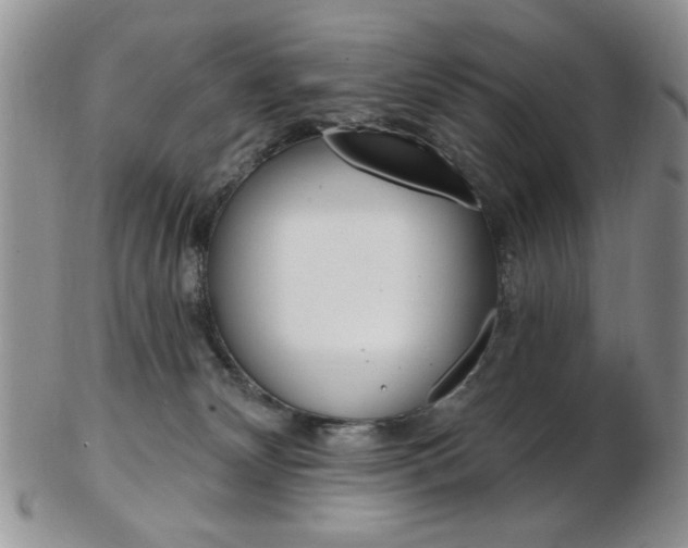 X0000103170132200808221137