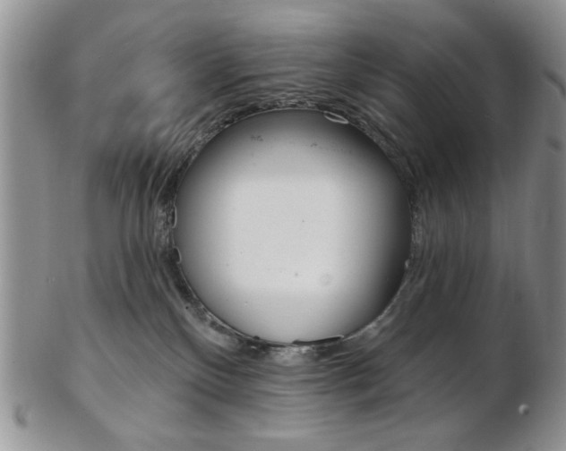 X0000103170136200808221137