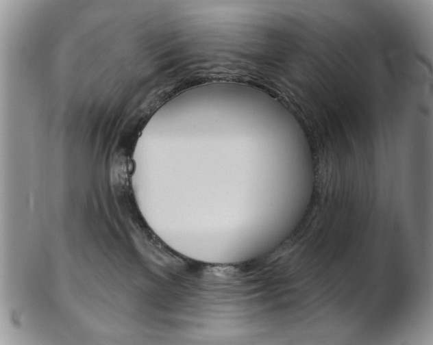 X0000103170137200808221137