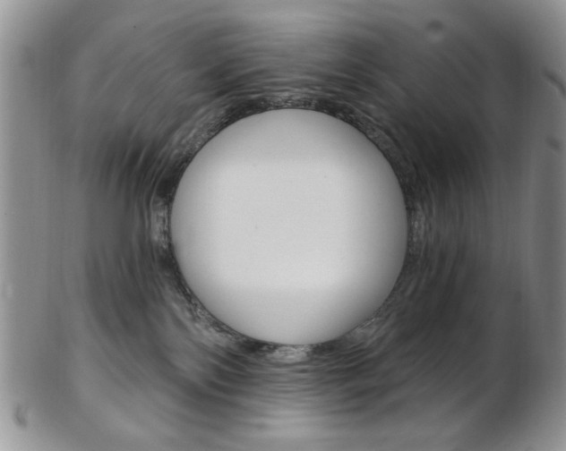 X0000103170138200808221137