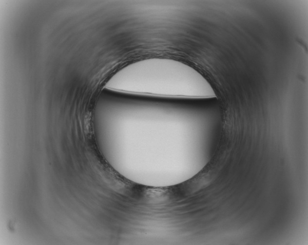 X0000103170139200808221137