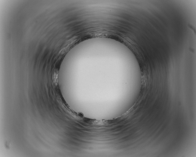 X0000103170142200808221137
