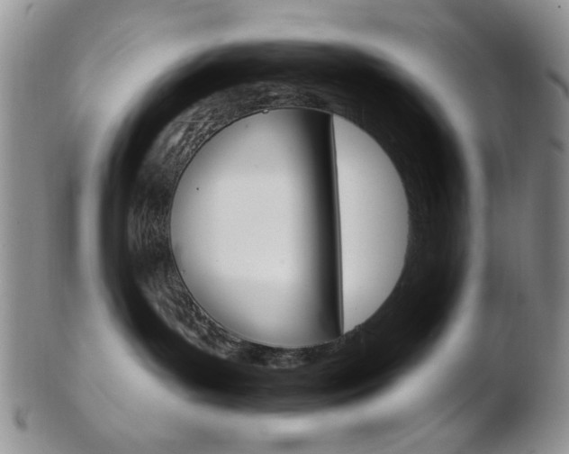 X0000103170143200808221137