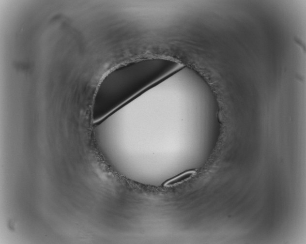 X0000103170144200808221137