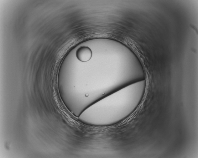 X0000103170145200808221136