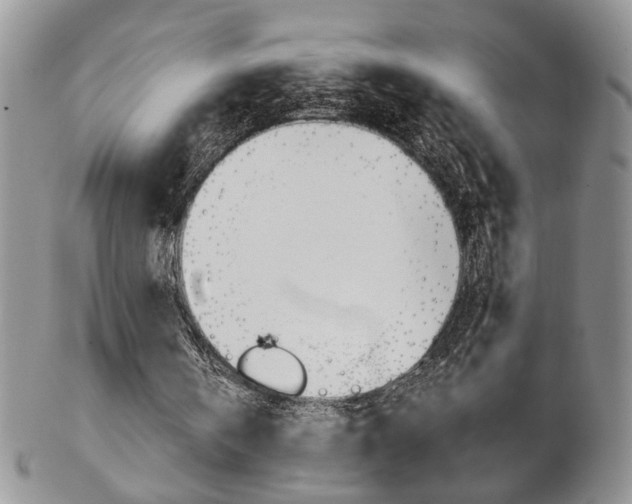 X0000103170146200808221136