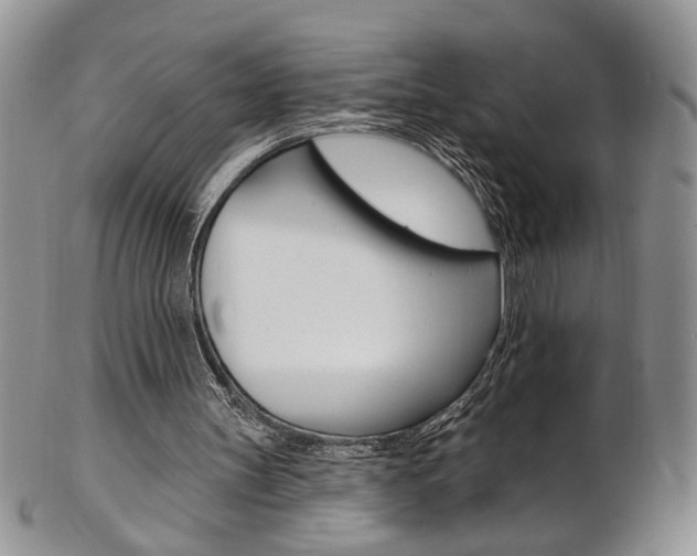 X0000103170147200808221136