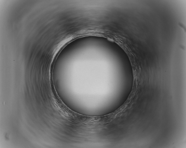 X0000103170148200808221136
