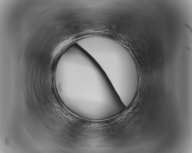 X0000103170149200808221136