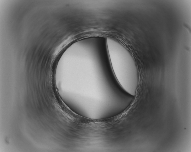 X0000103170150200808221136