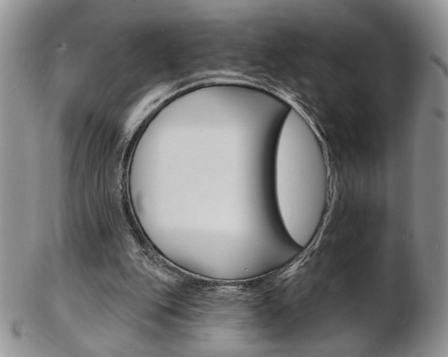 X0000103170151200808221136