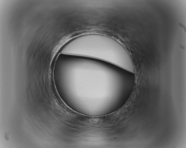 X0000103170152200808221136