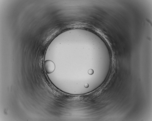 X0000103170153200808221136