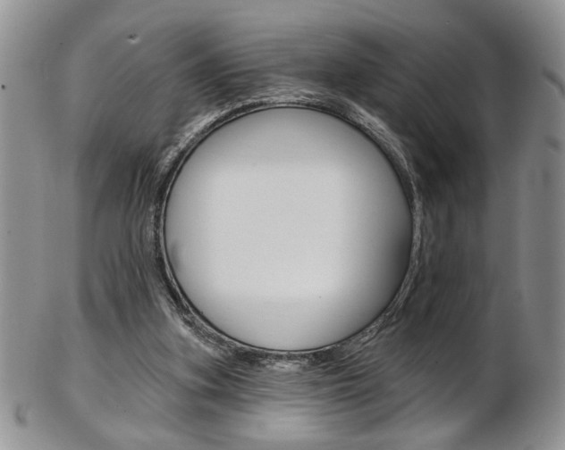X0000103170155200808221136