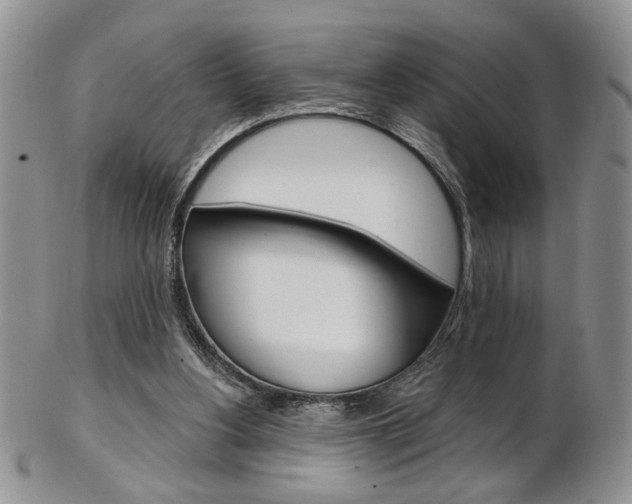 X0000103170156200808221136