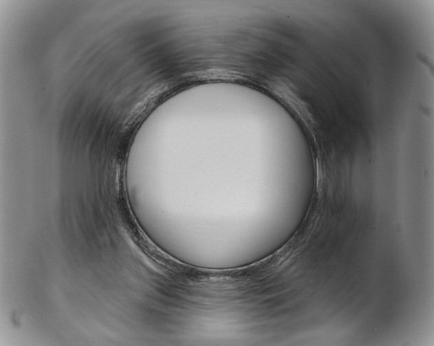 X0000103170157200808221136