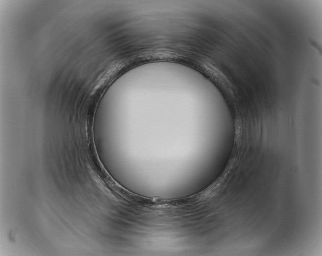 X0000103170158200808221136