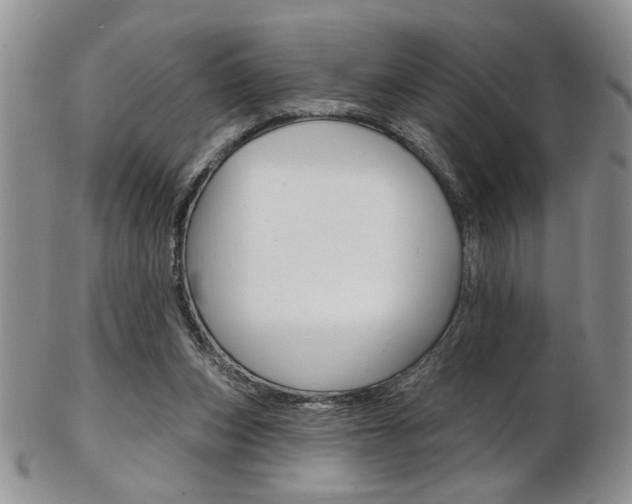 X0000103170159200808221136
