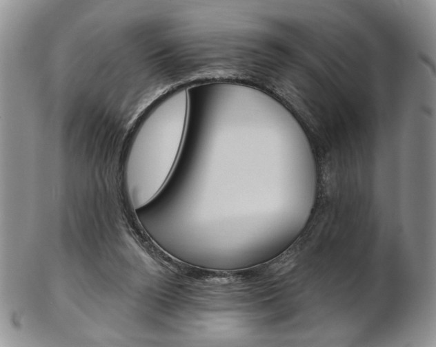 X0000103170160200808221136