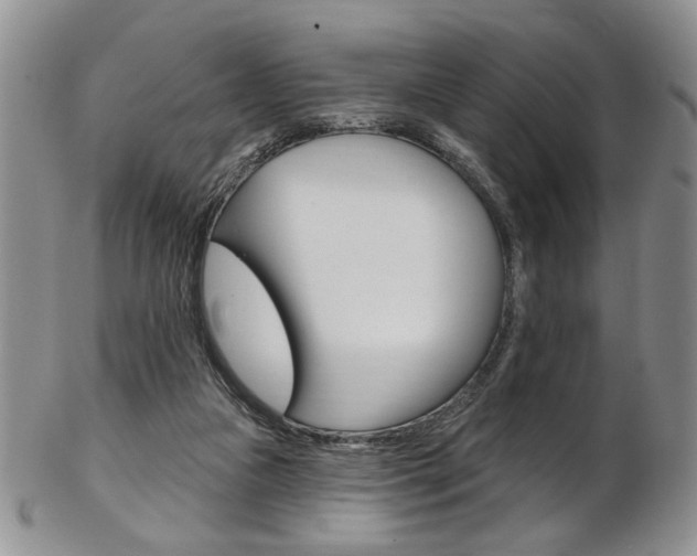 X0000103170161200808221136
