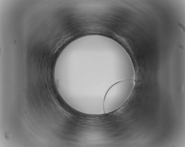 X0000103170162200808221136