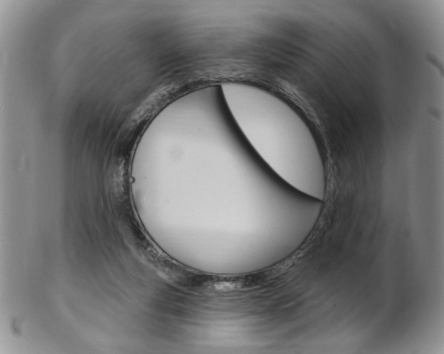 X0000103170163200808221136