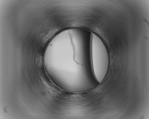 X0000103170164200808221136