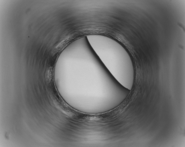 X0000103170165200808221136