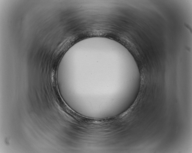 X0000103170166200808221136