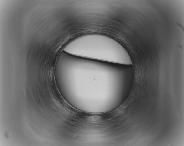 X0000103170168200808221136