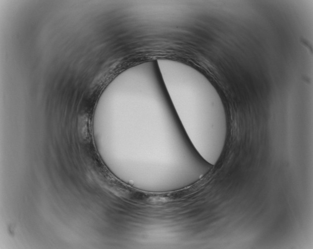 X0000103170169200808221136