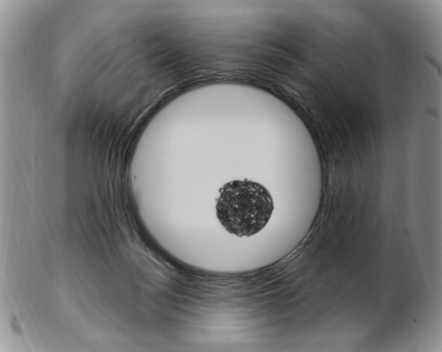 X0000103170172200808221136