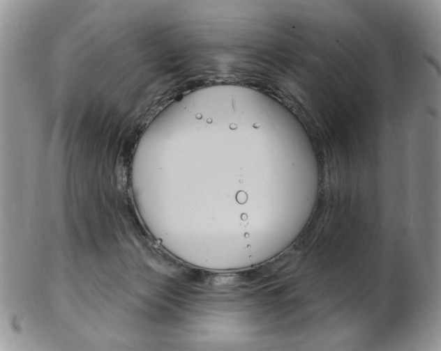 X0000103170173200808221136