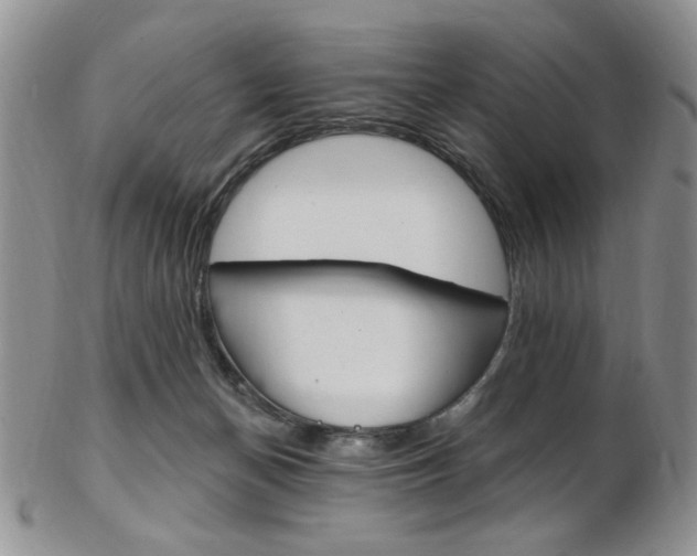 X0000103170174200808221136