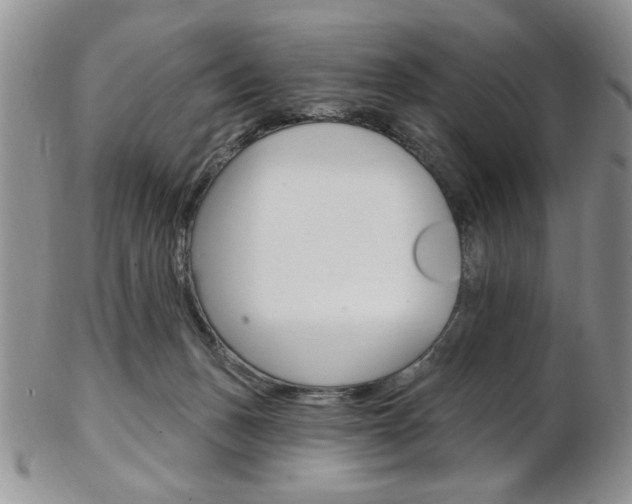 X0000103170175200808221136