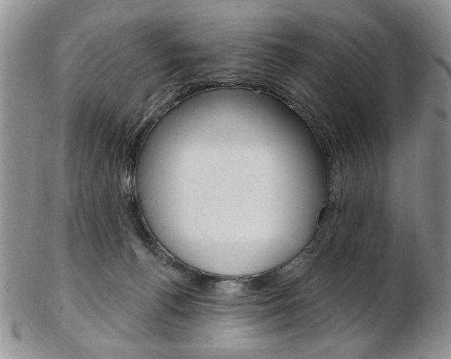 X0000103170176200808221136