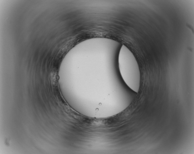 X0000103170177200808221136